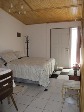 Caba��as Lemupewen Chillán 1